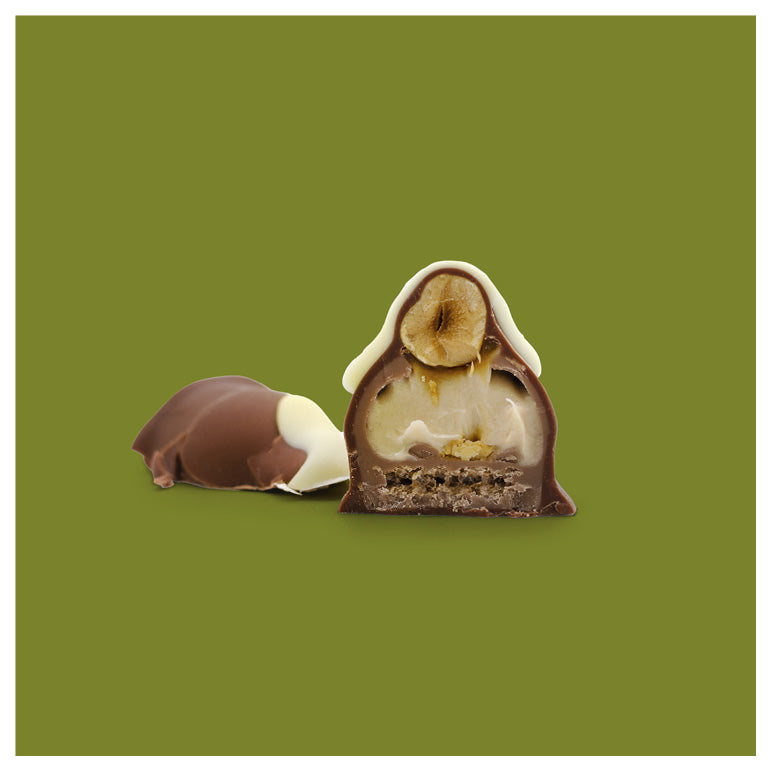 Nebelhorn Praline